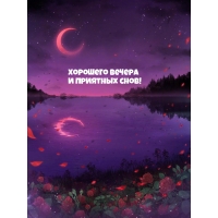 Хорошего вечера и приятных снов!