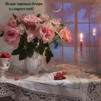 Желаю хорошего вечера и сладких снов!