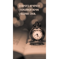 Доброго вечера и спокойной ночи! Сладких снов.