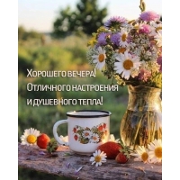 Хорошего вечера! Отличного настроения и душевного тепла!