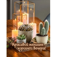 Красивой женщине хорошего вечера!