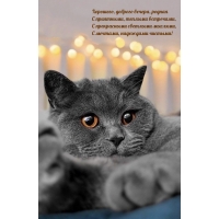 Хорошего, доброго вечера, родная с приятными, теплыми встречами