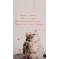 Сожаления, неблагодарность, воруют ваше счастье каждый день!