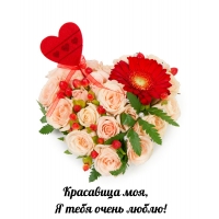 Красавица моя, я тебя очень люблю!