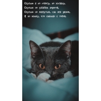 Скучаю я по голосу, по взгляду