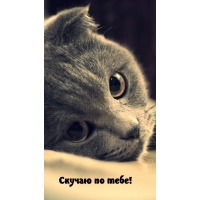 Скучаю по тебе!