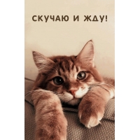 Скучаю и жду!