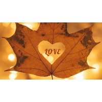 LOVE