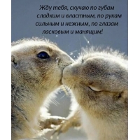 Жду тебя, скучаю по губам сладким и властным
