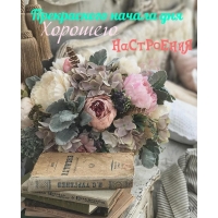 Прекрасного начала дня Хорошего настроения