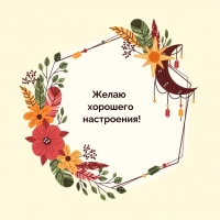 Желаю хорошего настроения!