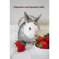 Хорошего настроения тебе!