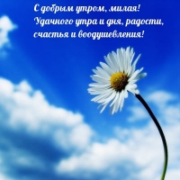 С добрым утром, милая! Удачного утра и дня!