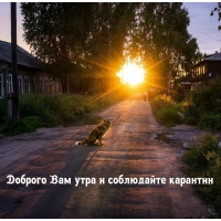 Доброго Вам утра и соблюдайте карантин