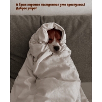 А ваше хорошее настроение уже проснулось? Доброе утро!