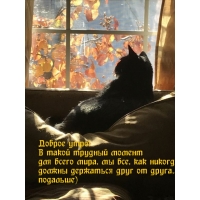 Мы должны держаться друг от друга.. подальше)