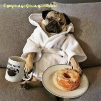 С утром добрым, улыбнись!