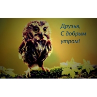 Друзья, С добрым утром!