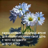 Самоизоляция — отличное время  для открытий