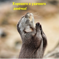 Хорошего и удачного денёчка!