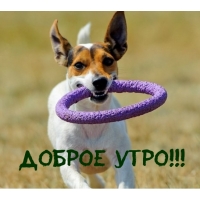 Доброе утро!