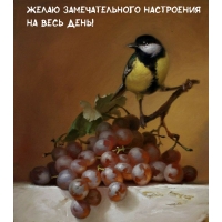 Желаю замечательного настроения на весь день!