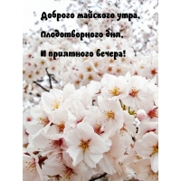 Доброго майского утра, плодотворного дня!