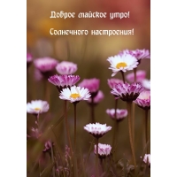 Доброе майское утро! Солнечного настроения!