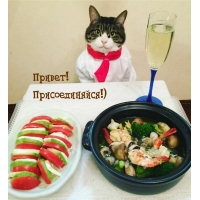 Привет! Присоединяйся!)