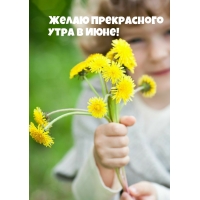 Желаю прекрасного Утра в июне!