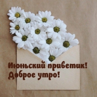 Июньский приветик! Доброе утро!