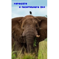 Хорошего и позитивного дня