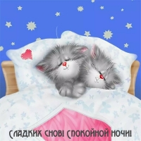 Сладких снов! Спокойной ночи!