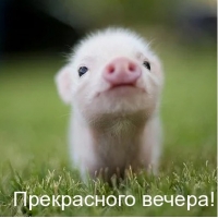 Прекрасного вечера!