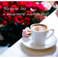 Удачного дня и отличного настроения!