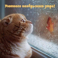 Уютного ноябрьского утра!