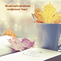 Желаю тебя отличного ноябрьского Утра!