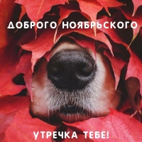 Доброго ноябрьского утречка тебе!