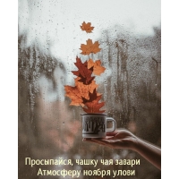 Просыпайся, атмосферу ноября улови