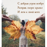 С добрым утром ноября! Расправь крылья!