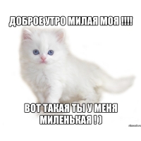 Доброе утро, милая моя!