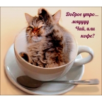 Доброе утро… мяуууу