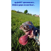 Ну фсёёё!!  просыпаемся…