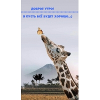 Доброе утро! И пусть всё будет хорошо..:)