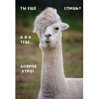 Ты ещё спишь? А я к тебе…