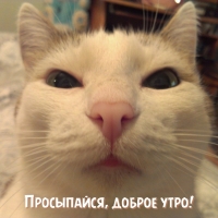 Просыпайся, доброе утро!