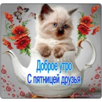 Доброе утро! С пятницей друзья!