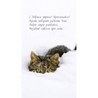 С добрым утром! Просыпайся!