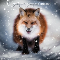 С добрым утром зимы!