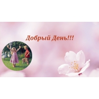 Добрый день!